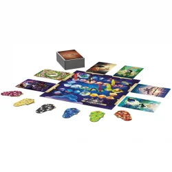 DIXIT DISNEY