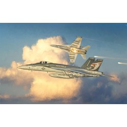 MODELO 1:48 F/A-18E SUPER HORNET