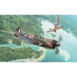 MODELO 1:48 P-40 E/K KITTYHAWK