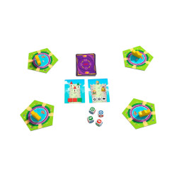 EL REY DE LOS DADOS JUNIOR