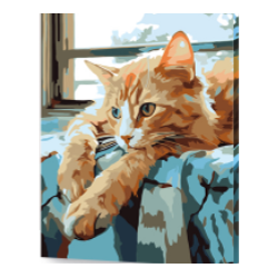 KIT PAINT BY NUMBERS GATO SOÑADOR 40X50