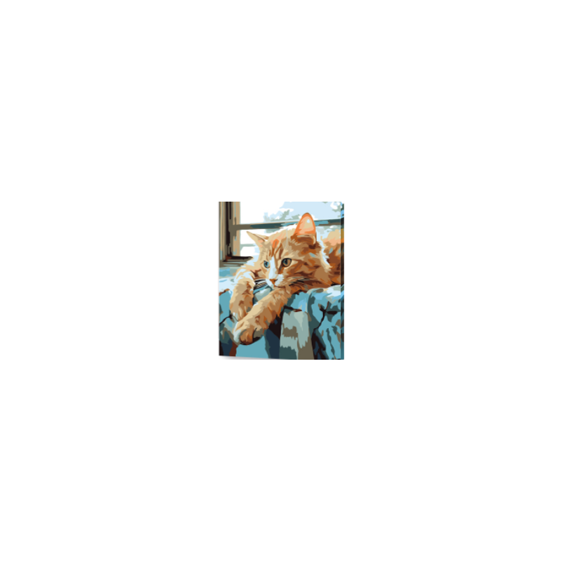 KIT PAINT BY NUMBERS GATO SOÑADOR 40X50