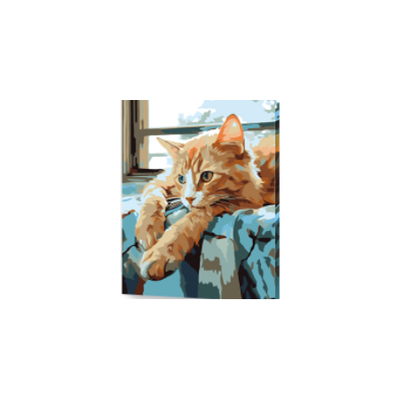 KIT PAINT BY NUMBERS GATO SOÑADOR 40X50