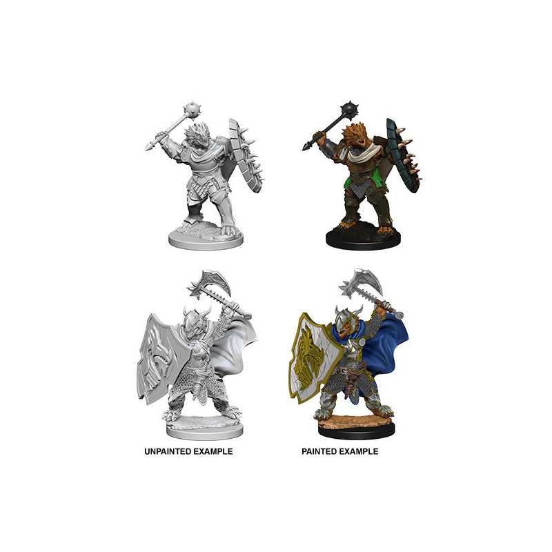 MINIATURAS D&D: DRAGONBORN MALE PALADIN