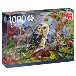 Puzzle 1000 pzs. PC Owls in the Moonlight