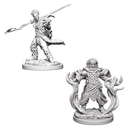 MINIATURAS D&D: HUMAN MALE DRUID 2