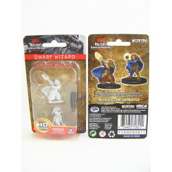 MINIATURAS D&D: DWARF FEMALE WIZARD