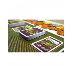 VITICULTURE TUSCANY