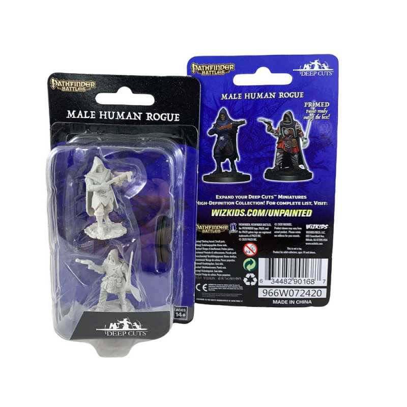 MINIATURAS PATHFINDER: HUMAN MALE ROGUE